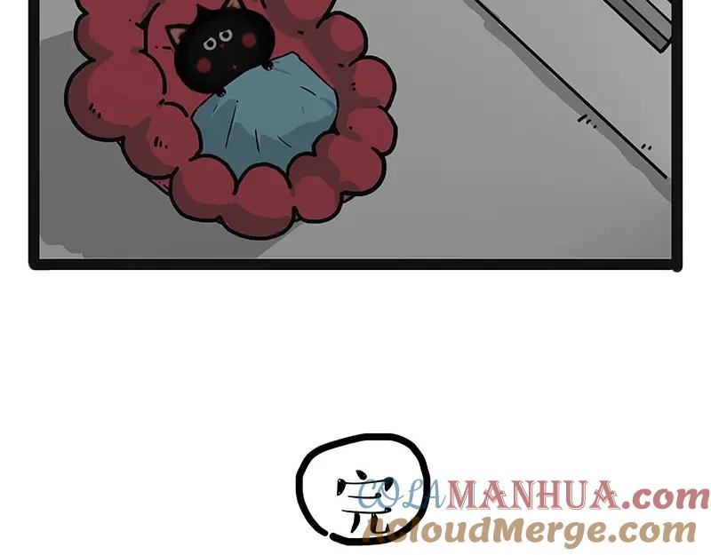 46.jpg