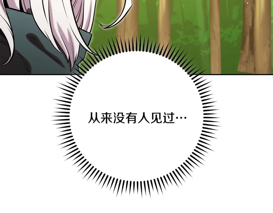 255.jpg