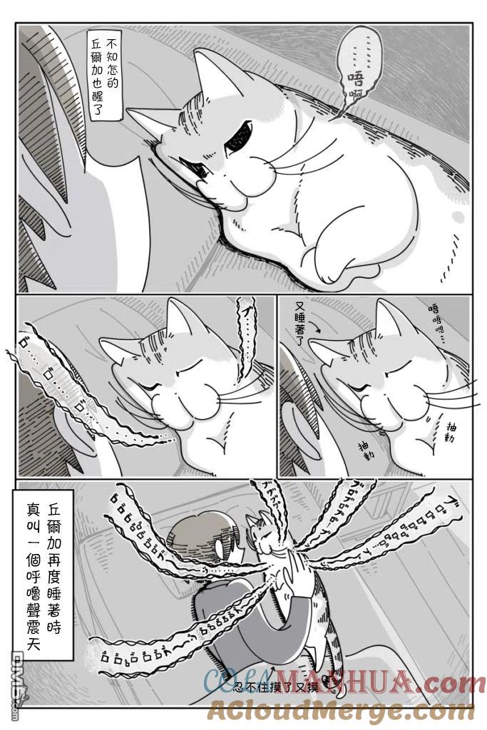 第37话-关于养猫我一直是新手-キュルZ（第2张）
