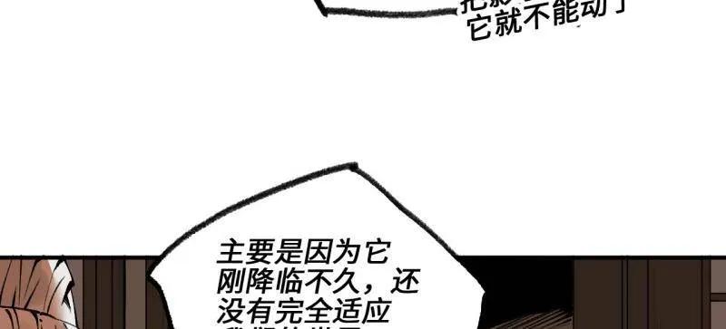 95.jpg