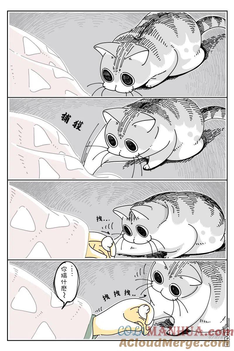第45话-关于养猫我一直是新手-キュルZ（第1张）