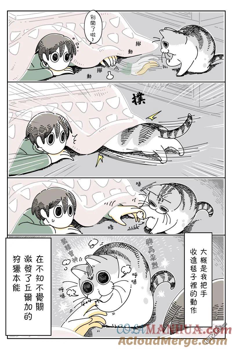 第45话-关于养猫我一直是新手-キュルZ（第2张）