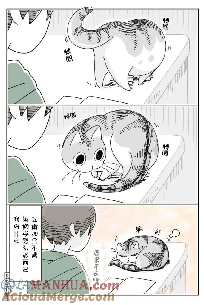 第59话-关于养猫我一直是新手-キュルZ（第1张）