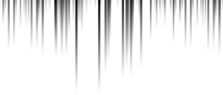 223.jpg