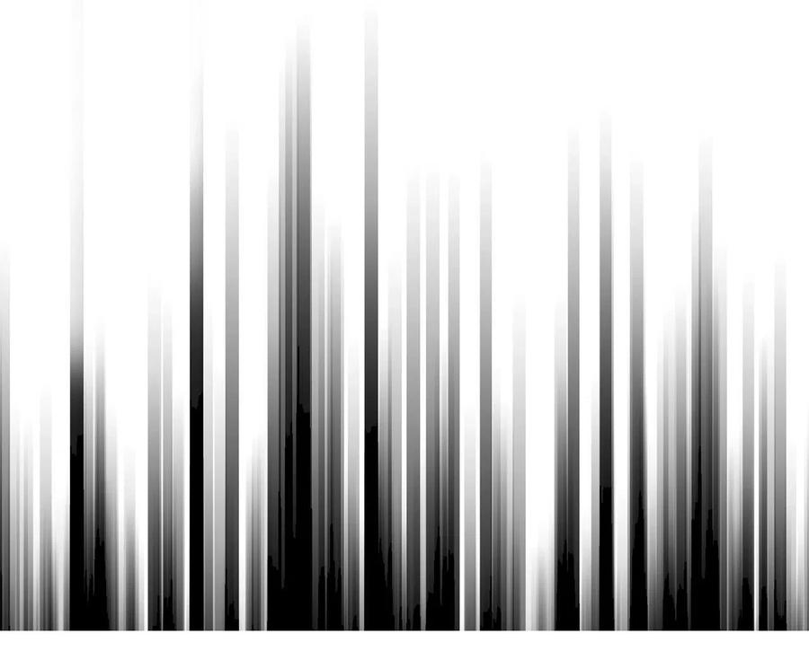 91.jpg