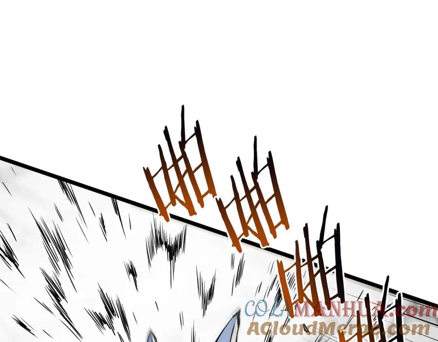 221.jpg
