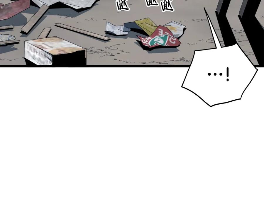 164.jpg