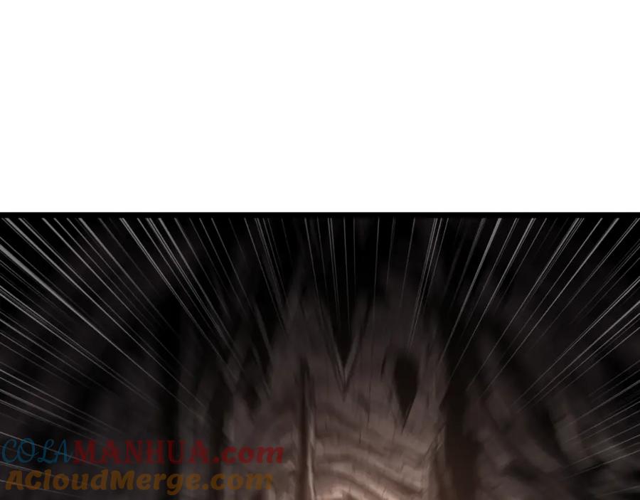 261.jpg