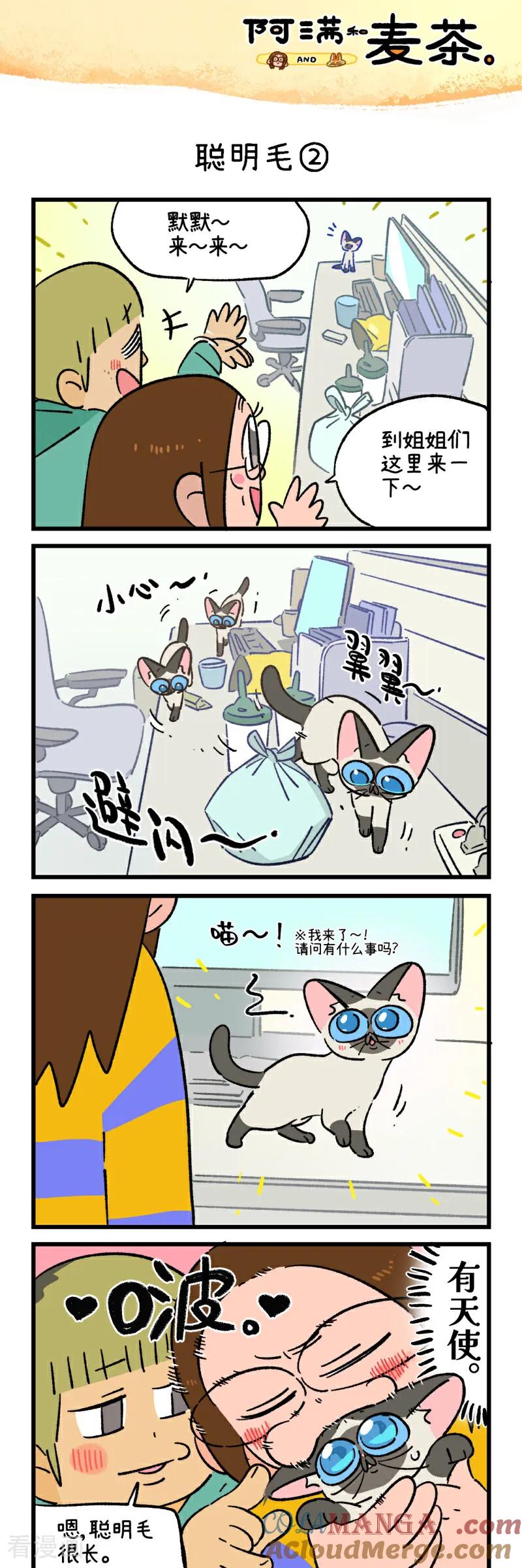 第252话-阿满和麦茶-新漫画 日胖大海寺（第3张）