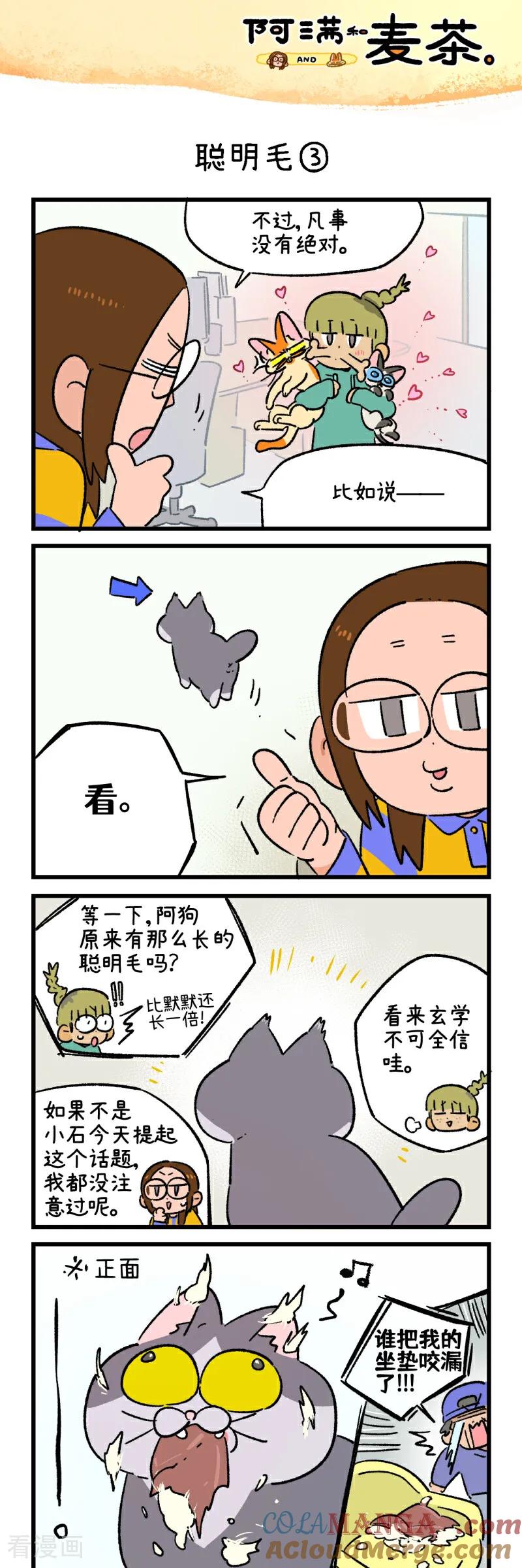 第252话-阿满和麦茶-新漫画 日胖大海寺（第5张）