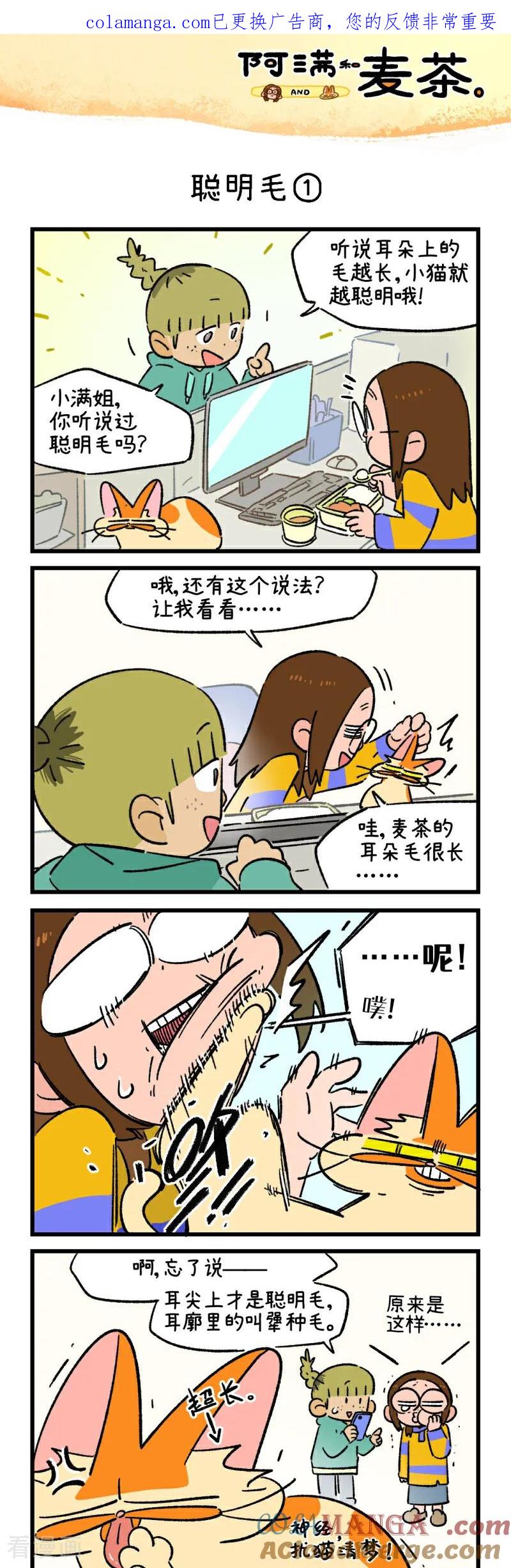 第252话-阿满和麦茶-新漫画 日胖大海寺（第1张）