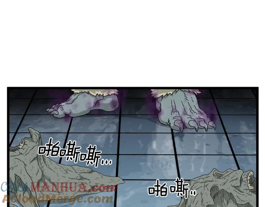 41.jpg
