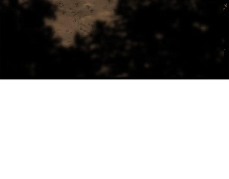 158.jpg