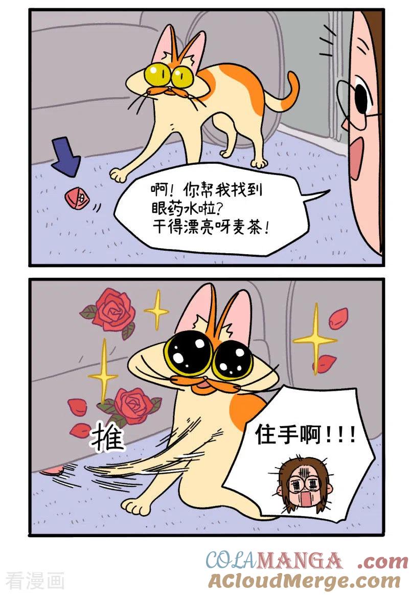 第5话眼药水事件-阿满和麦茶-新漫画 日胖大海寺（第2张）