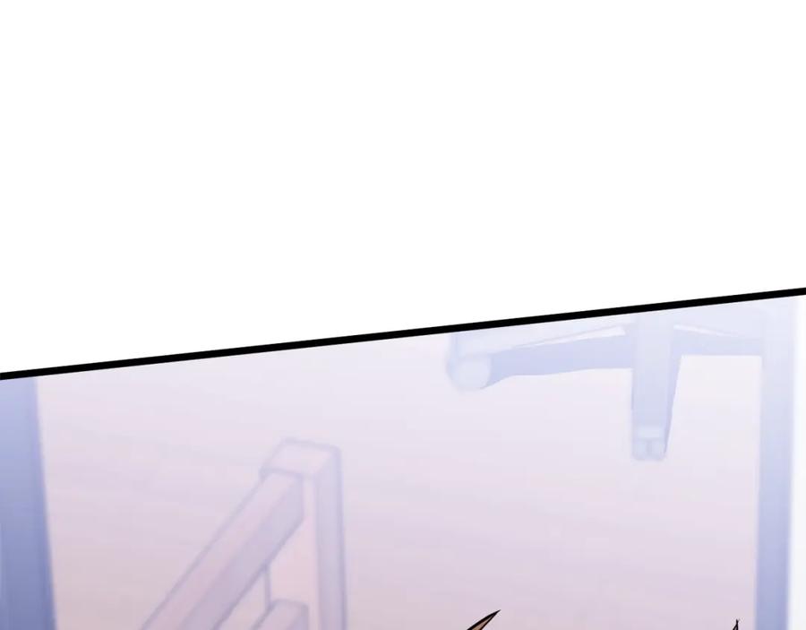 213.jpg