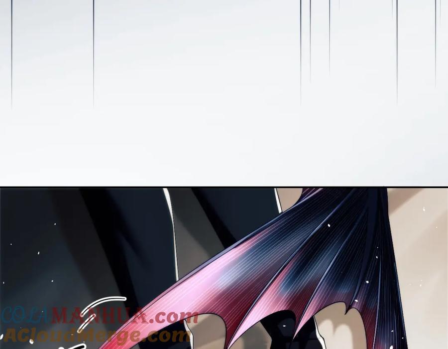 73.jpg