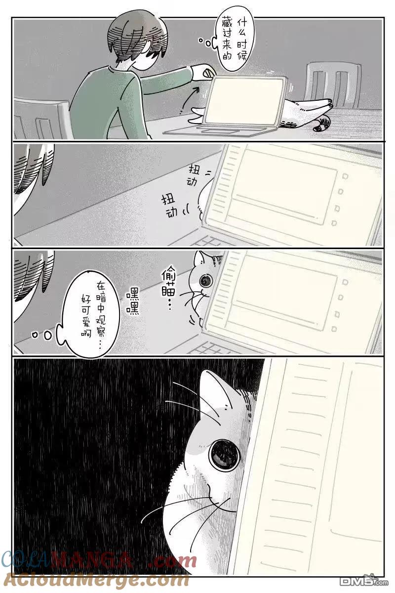 第260话-关于养猫我一直是新手-キュルZ（第1张）