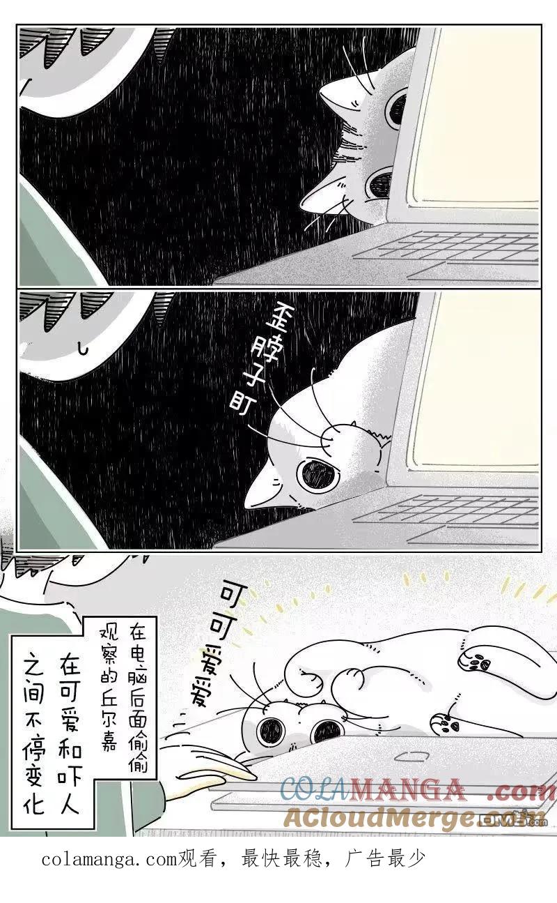 第260话-关于养猫我一直是新手-キュルZ（第2张）