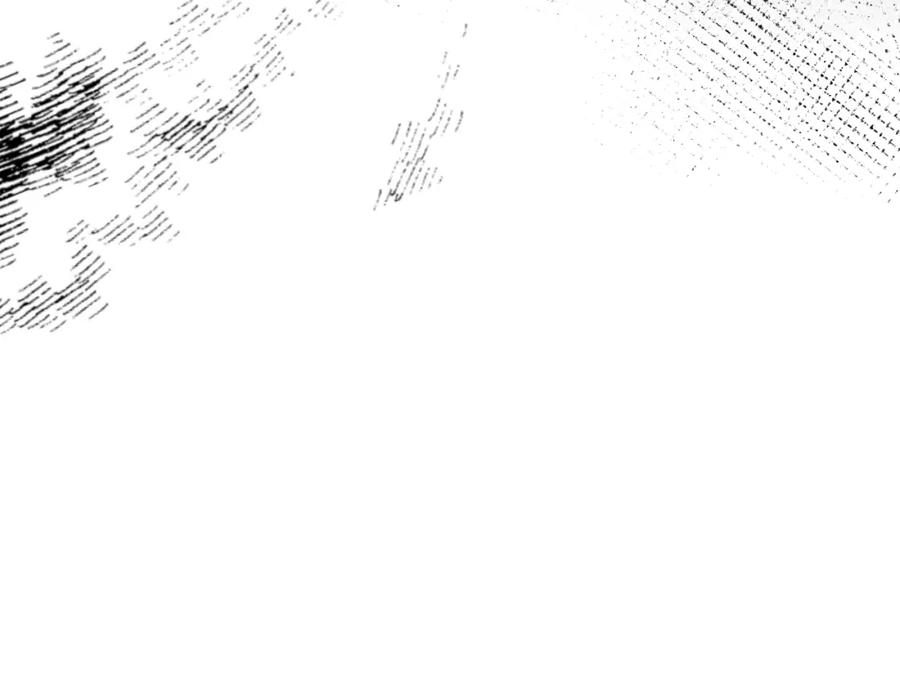 167.jpg