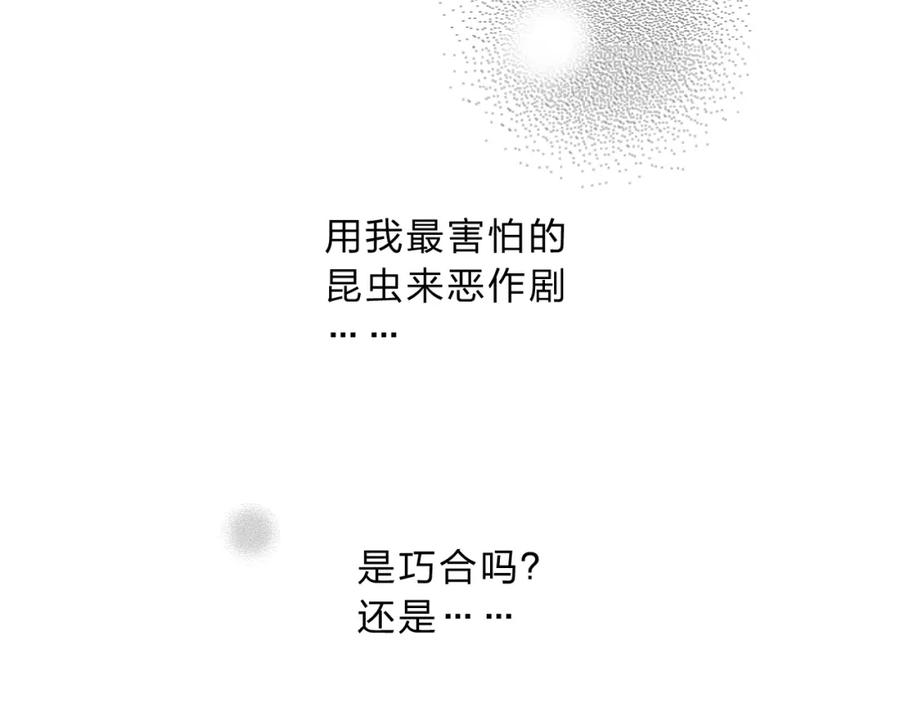 73.jpg