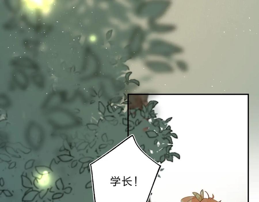 119.jpg
