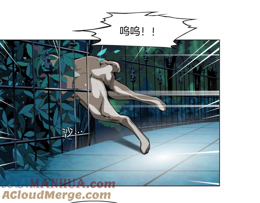 37.jpg