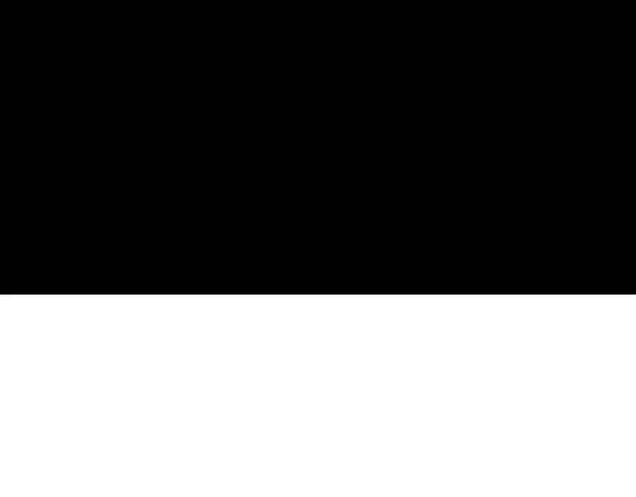 74.jpg