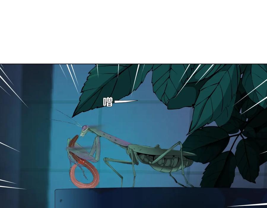 34.jpg