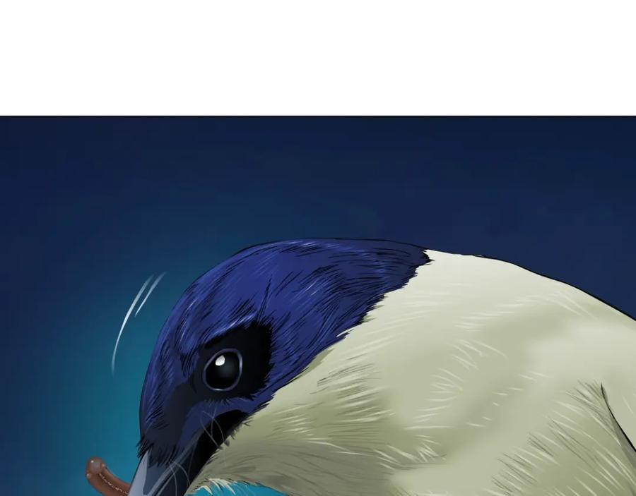 71.jpg