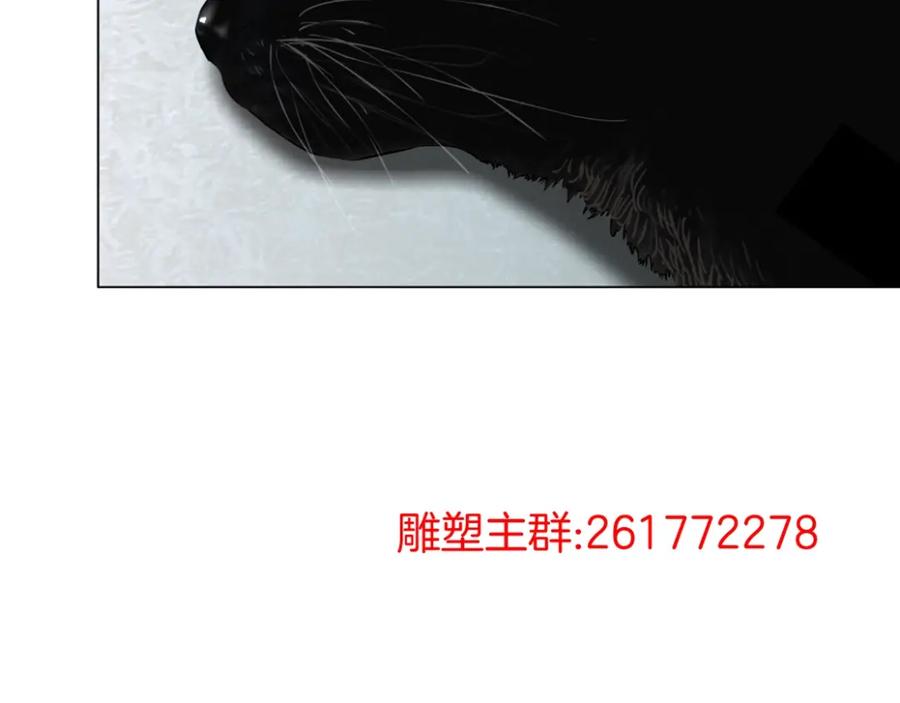 87.jpg