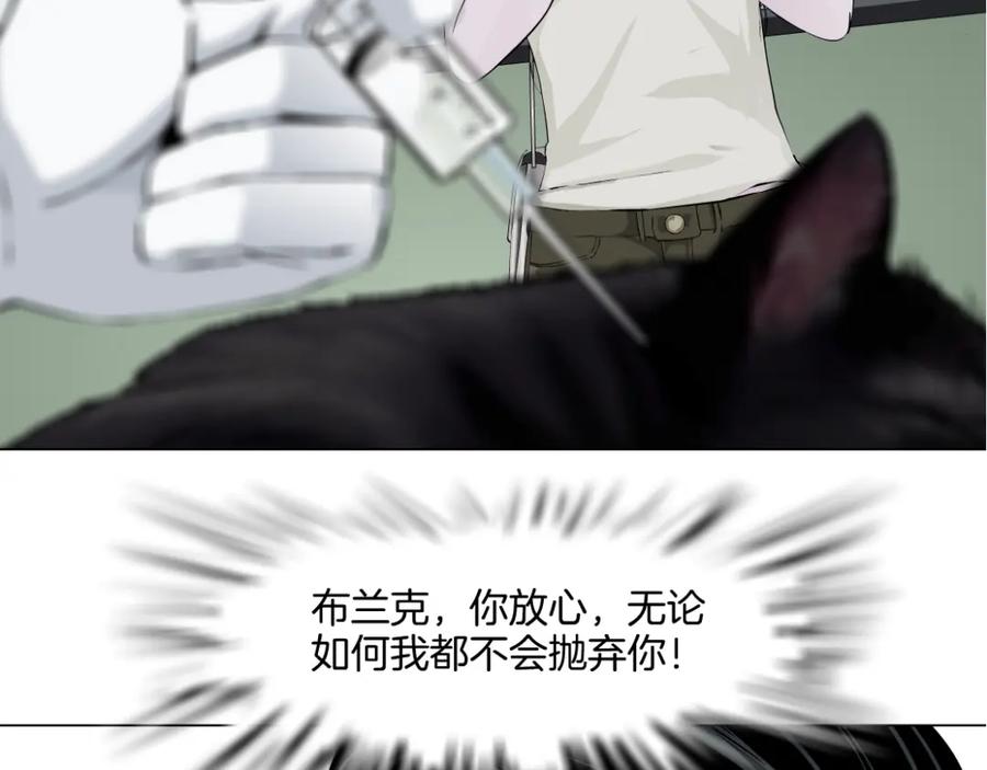 84.jpg