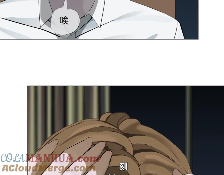 73.jpg