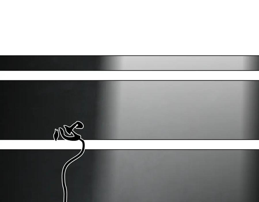 107.jpg