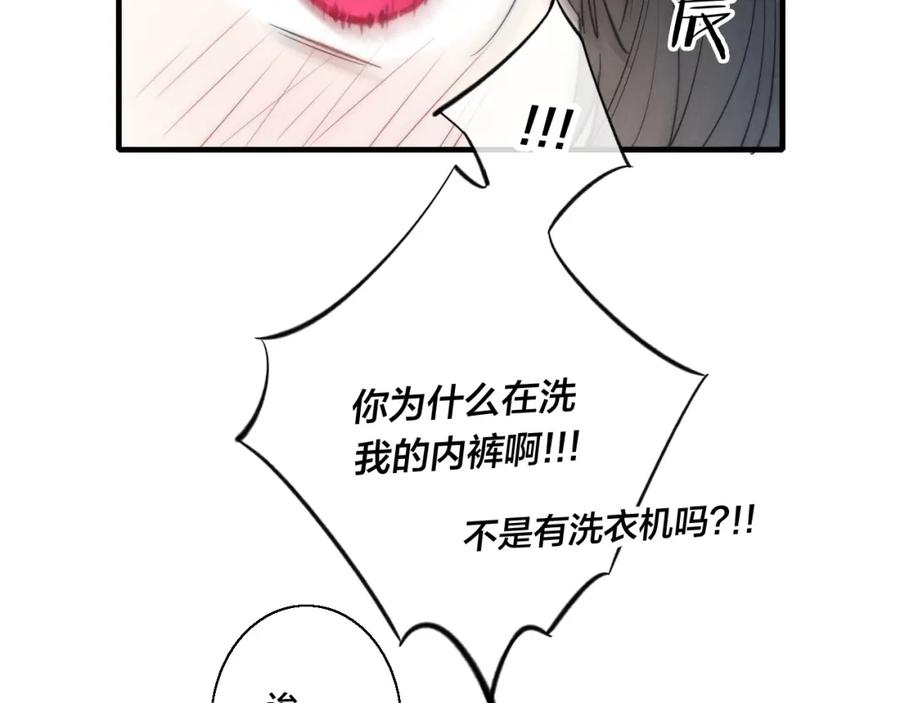 95.jpg