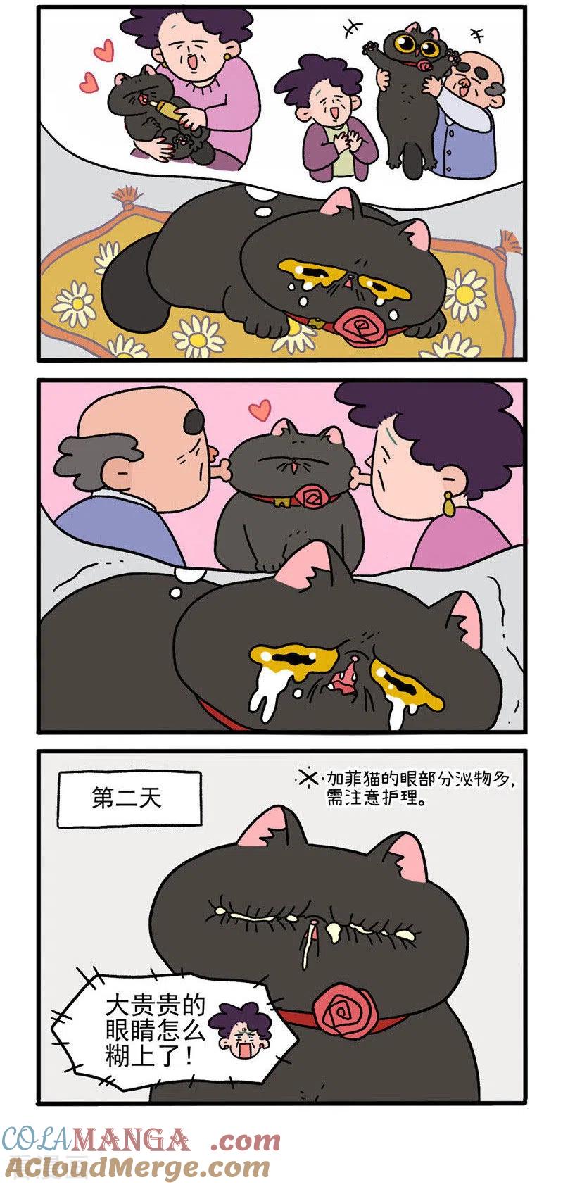第16话2住院的理由-阿满和麦茶-新漫画 日胖大海寺（第2张）