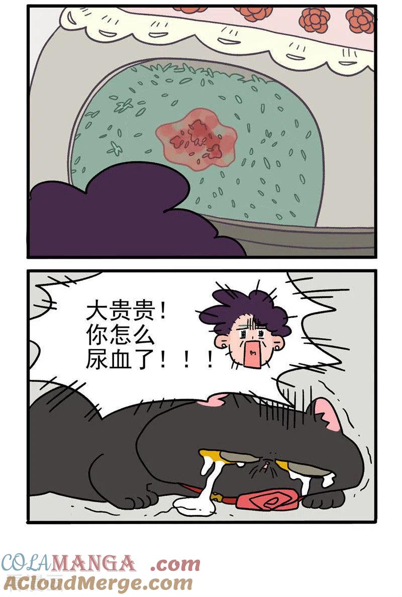第16话2住院的理由-阿满和麦茶-新漫画 日胖大海寺（第4张）