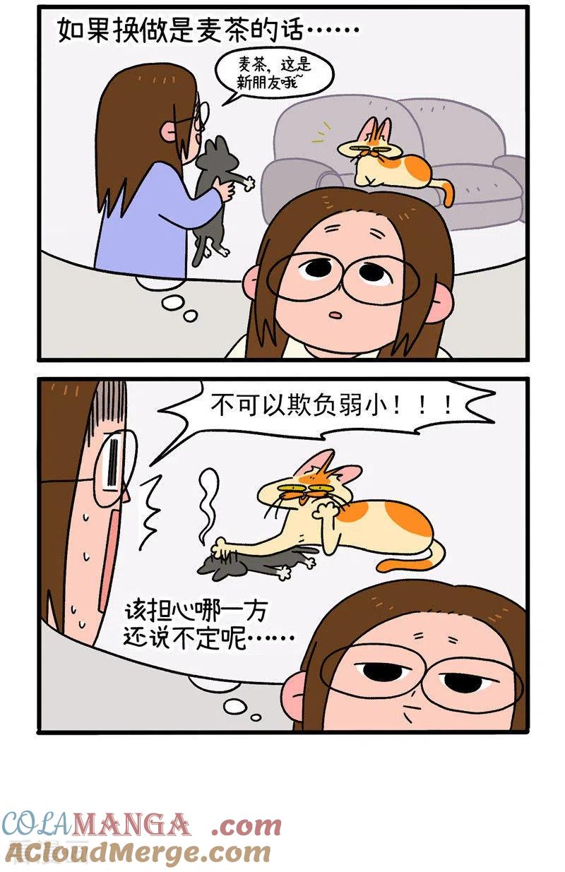 第16话2住院的理由-阿满和麦茶-新漫画 日胖大海寺（第6张）