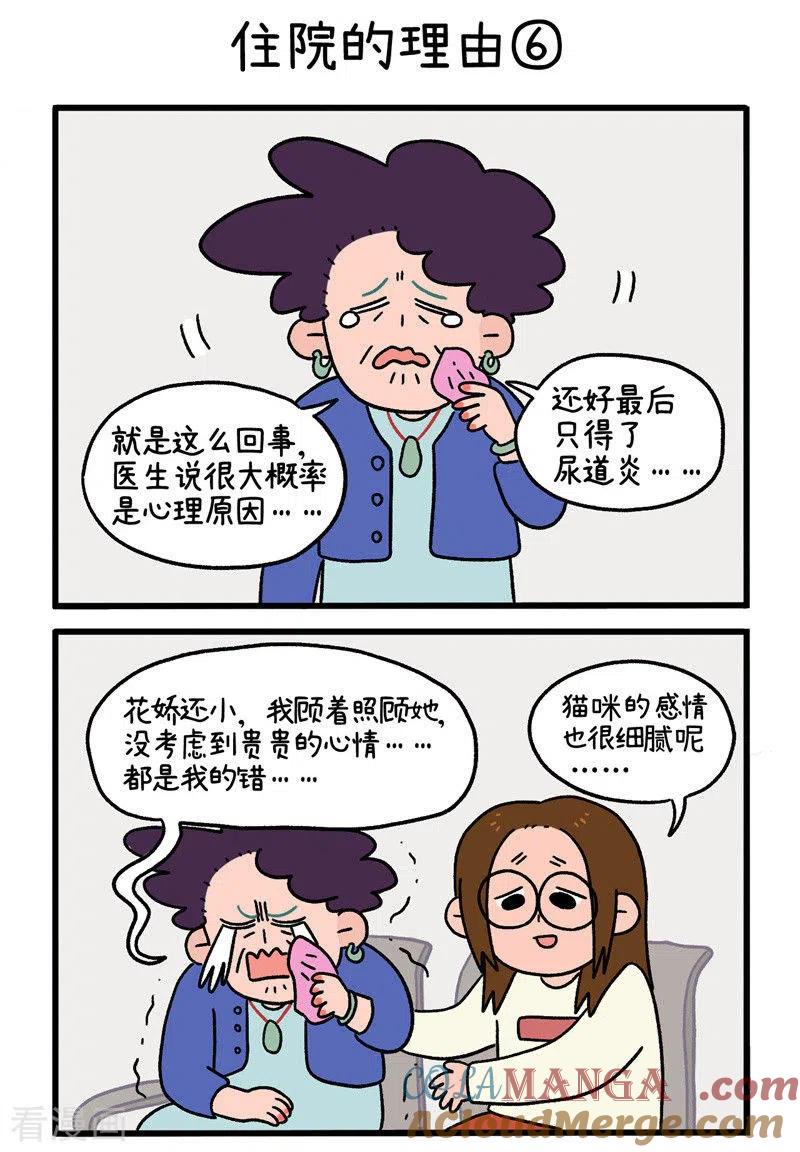 第16话2住院的理由-阿满和麦茶-新漫画 日胖大海寺（第5张）