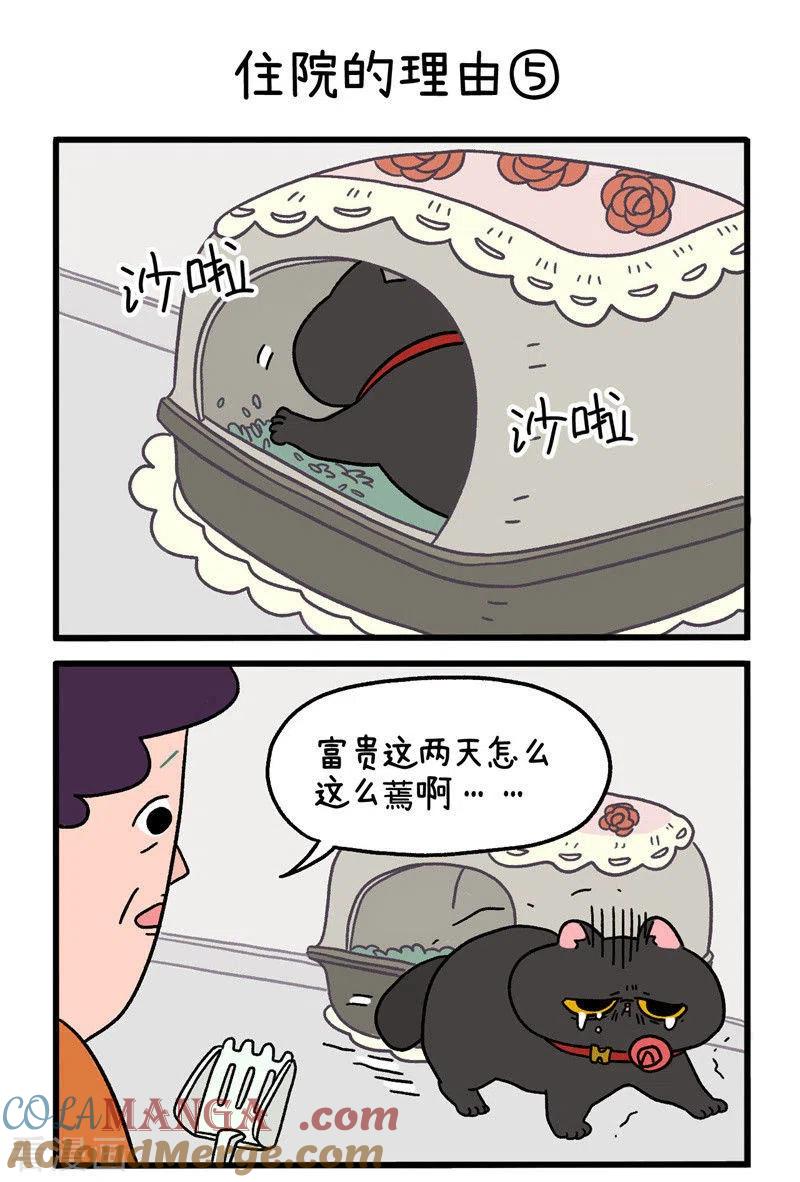 第16话2住院的理由-阿满和麦茶-新漫画 日胖大海寺（第3张）