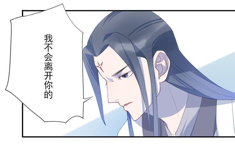 桃花灼灼-天乩之白蛇传说-追梦动漫（第6张）