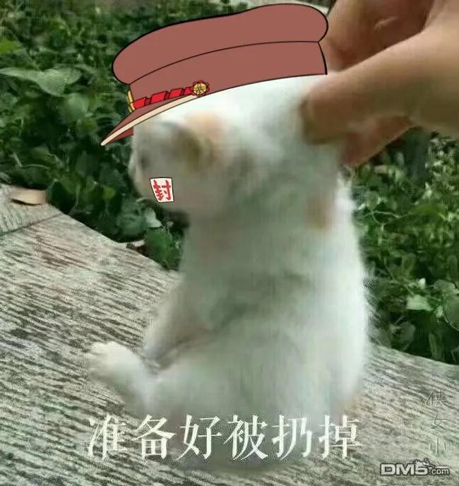 34.jpg