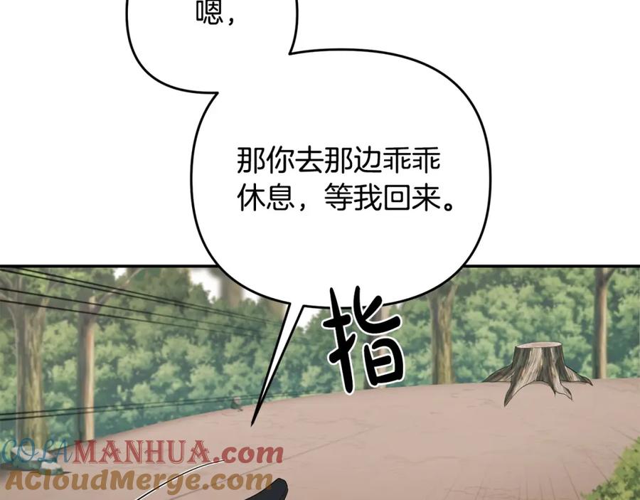 116.jpg