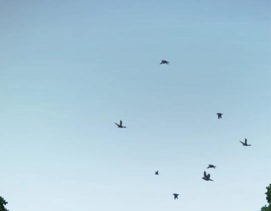 227.jpg