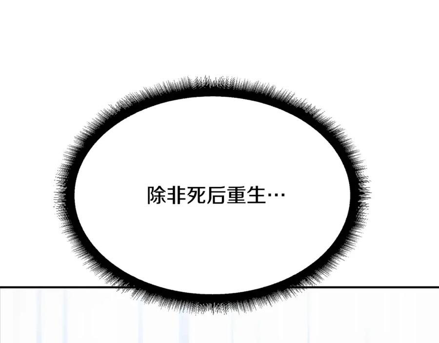 223.jpg