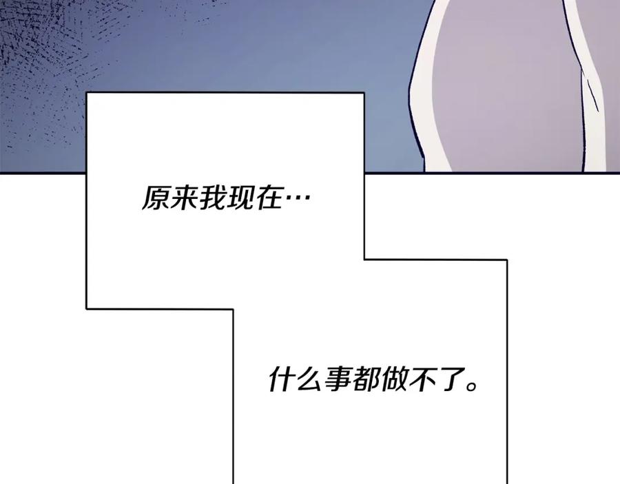 223.jpg