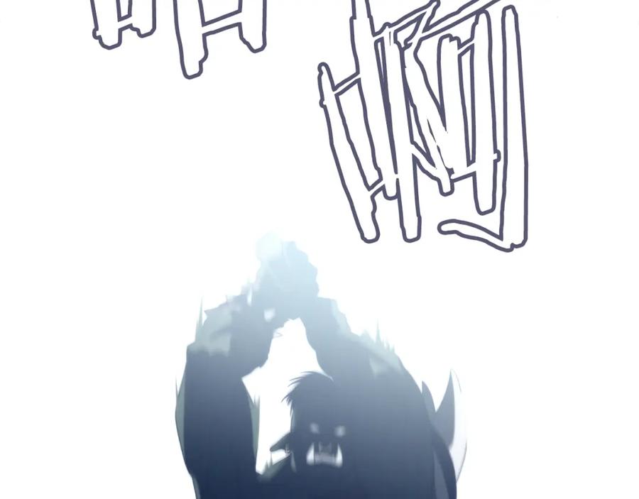 243.jpg
