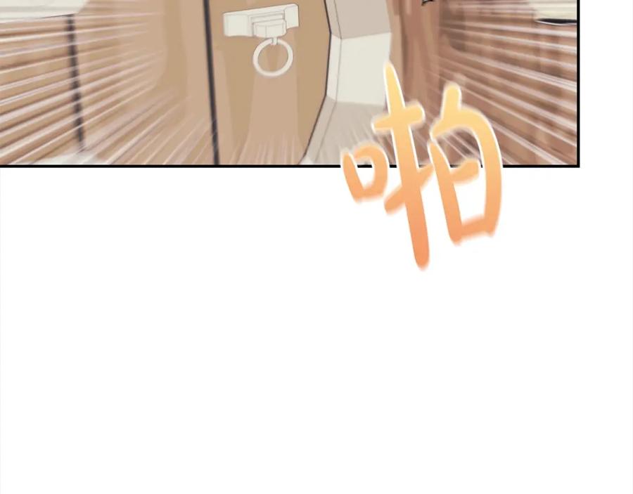 204.jpg