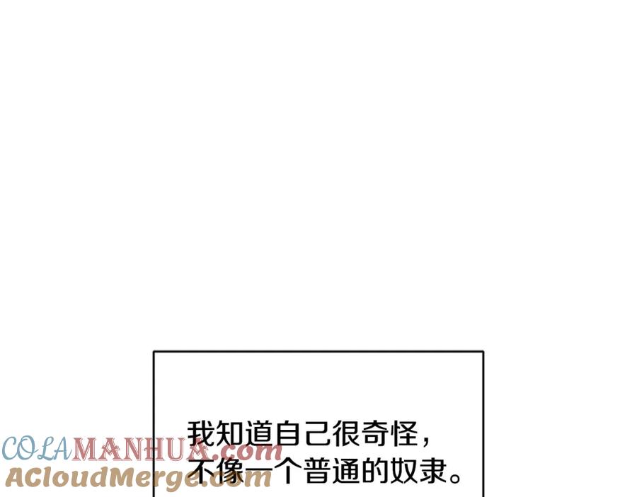 73.jpg