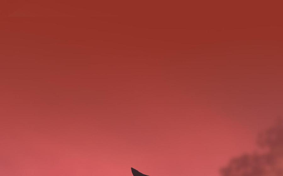 48.jpg