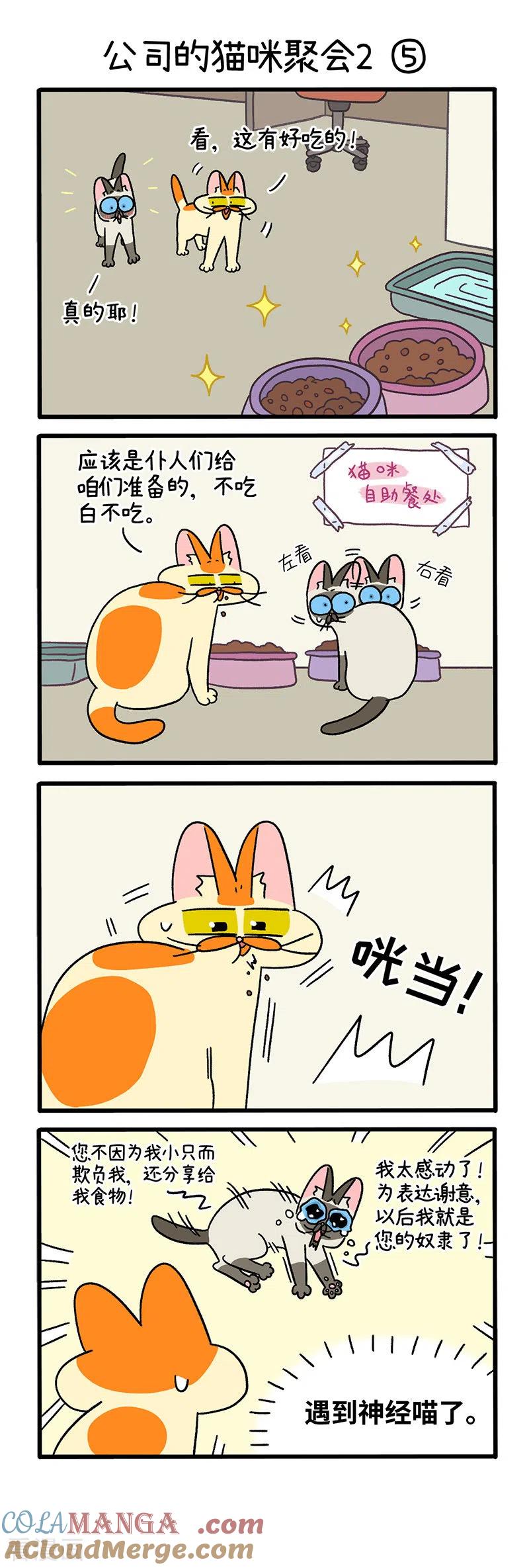 第66话2公司的猫咪聚会2-阿满和麦茶-新漫画 日胖大海寺（第3张）